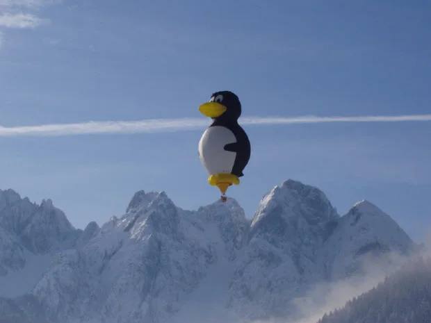 Winterballooning in Gosau – Aufnahme 12 aus dem Bildarchiv